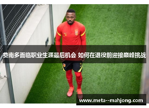 费南多面临职业生涯最后机会 如何在退役前迎接巅峰挑战