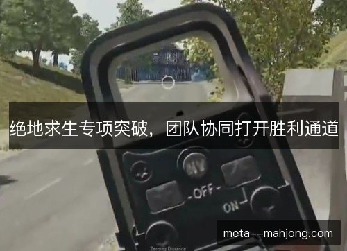 绝地求生专项突破，团队协同打开胜利通道